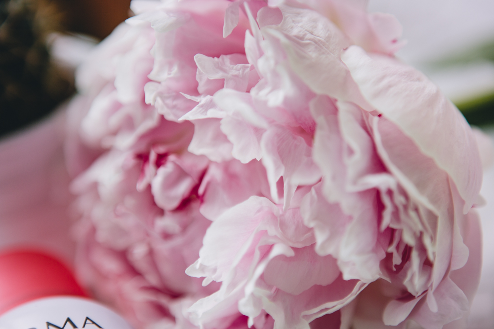 Rosgeold and Marble liebt Pfingstrosen, Pink Peonies